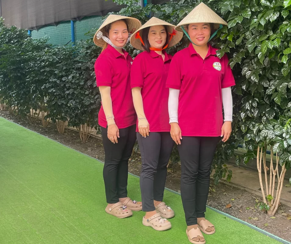 Dịch vụ cho thuê tạp vụ